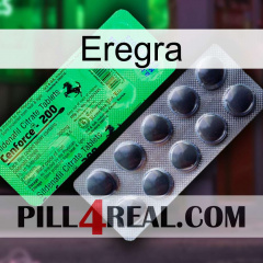 Eregra new04